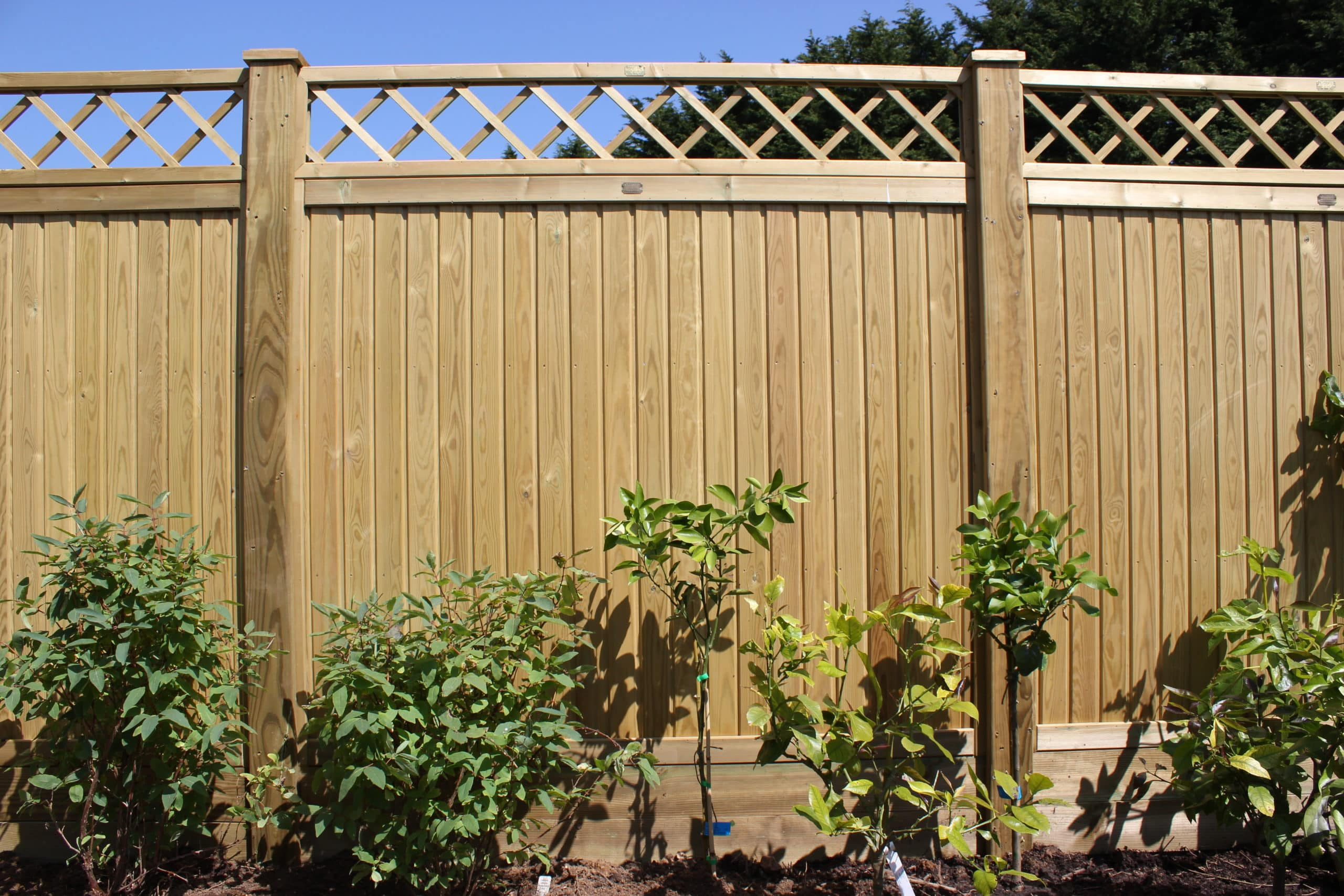 Fence repairs and replacements